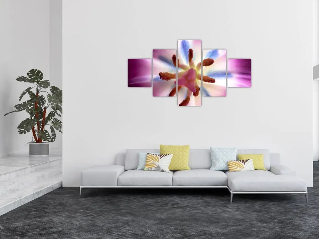 Obraz - Kwiat tulipana w szczegółach (125x70 cm)