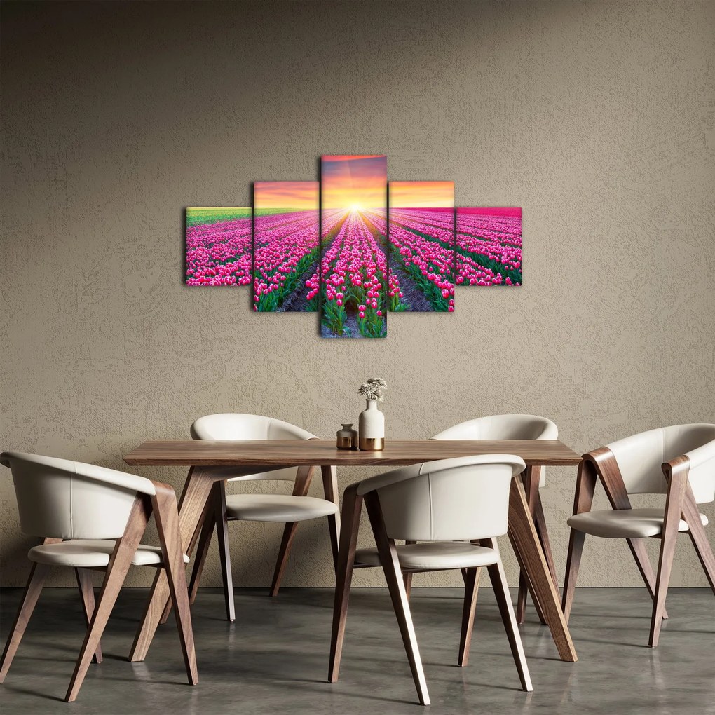 Obraz pole tulipanów ze słońcem (125x70 cm)