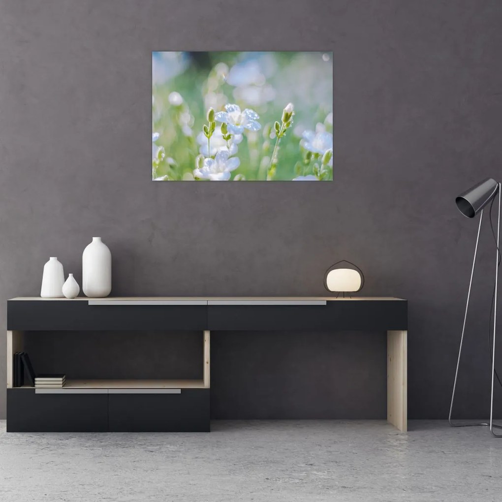 Obraz - Delikatne kwiaty (70x50 cm)