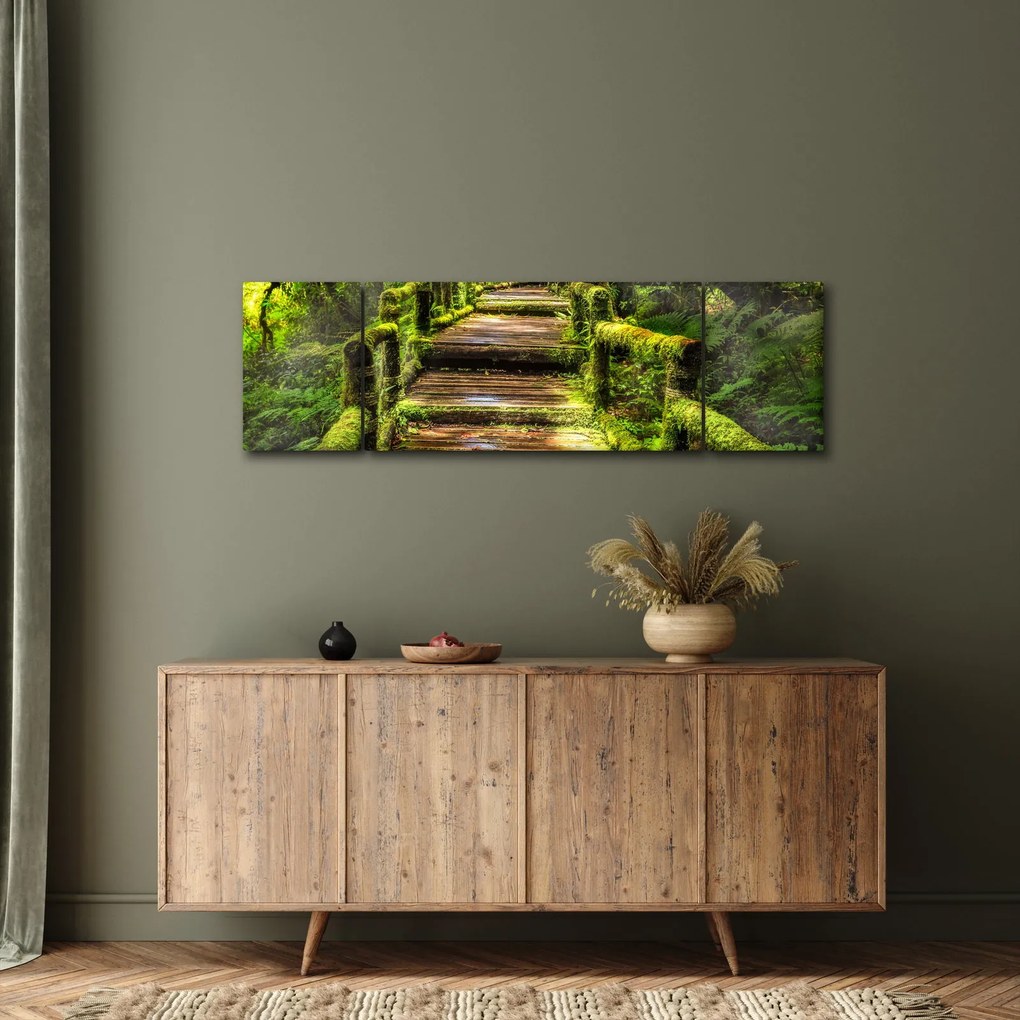 Obraz schodów w deszczowym pralesie (170x50 cm)