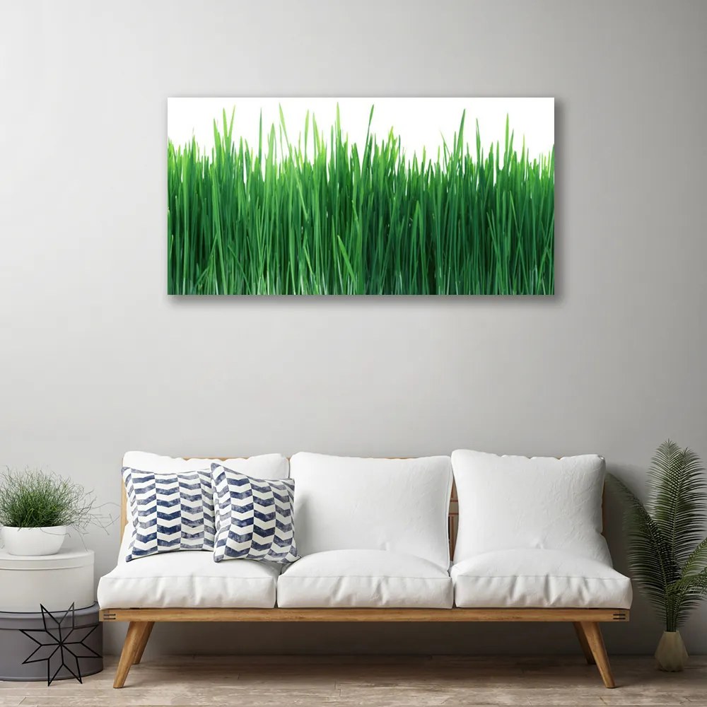 Obraz Canvas Trawa Przyroda Roślina