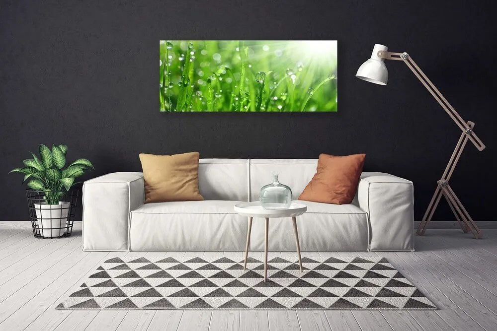 Obraz canvas Krople Rosy na Trawie