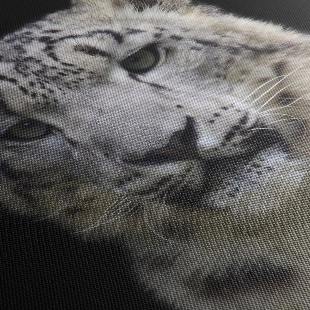 Obraz - Snow Leopard (z zegarem) (90x30 cm)