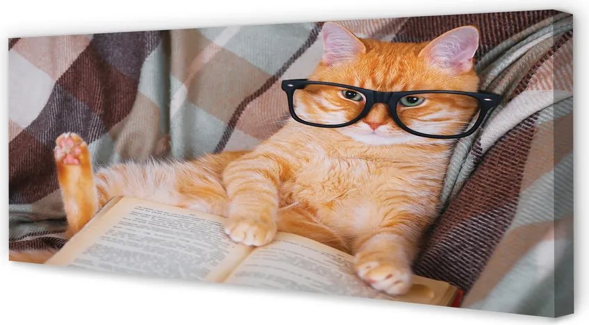 Zdjęcie na płótnie Kot "Czytający" Książkę