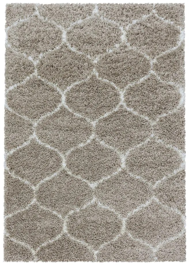 Beżowy dywan 120x170 cm Salsa – Ayyildiz Carpets