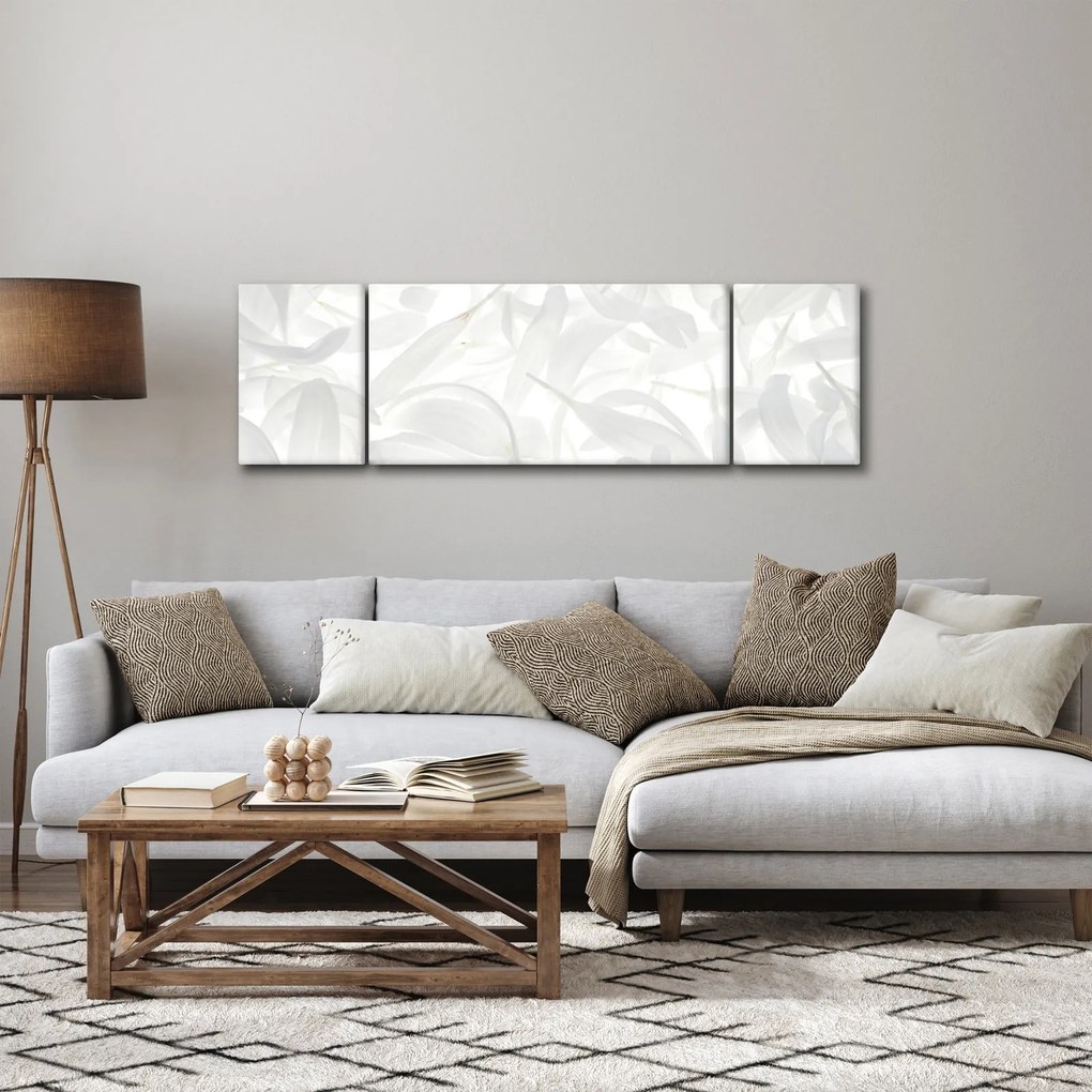 Obraz - Płatki (170x50 cm)