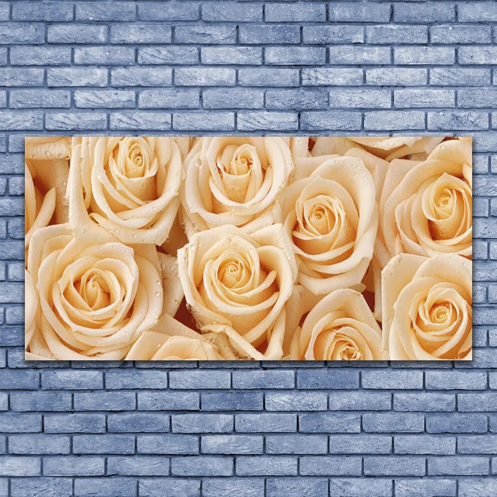 Zdjęcie na płótnie Aksamitne Róże w Pąkach