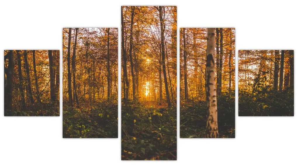 Obraz jesiennego lasu (125x70 cm)