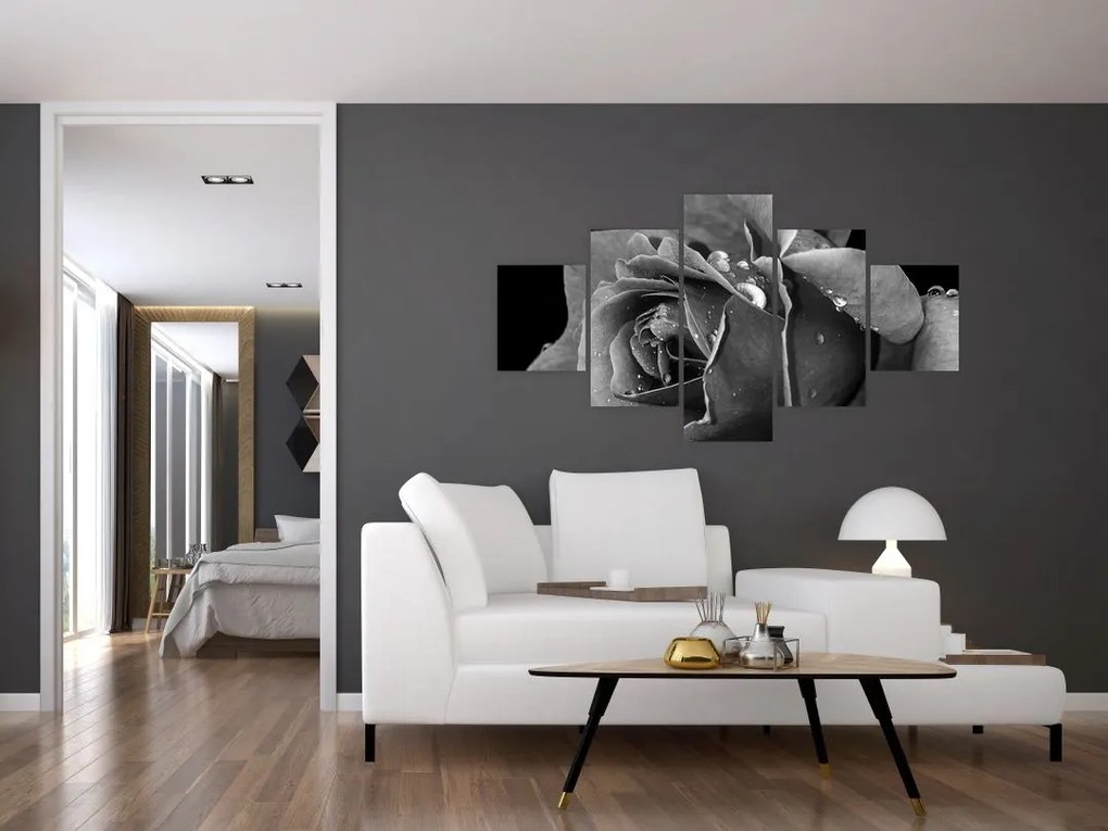 Obraz róży - czarno - biały (125x70 cm)