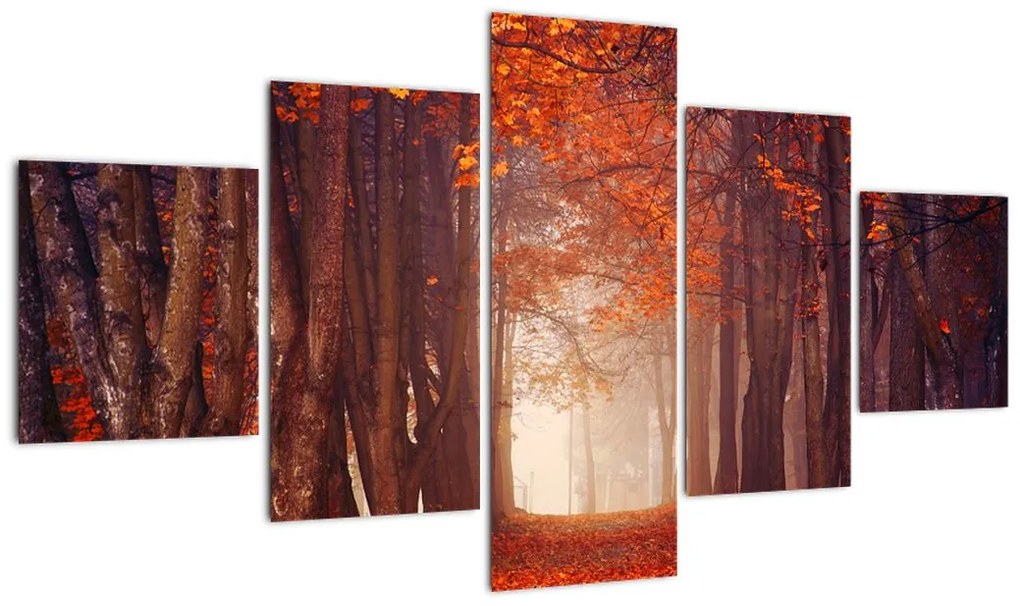 Obraz - Jesienny las (125x70 cm)