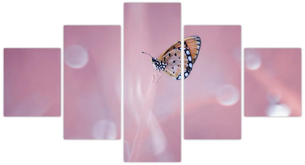 Obraz - Motylek (125x70 cm)