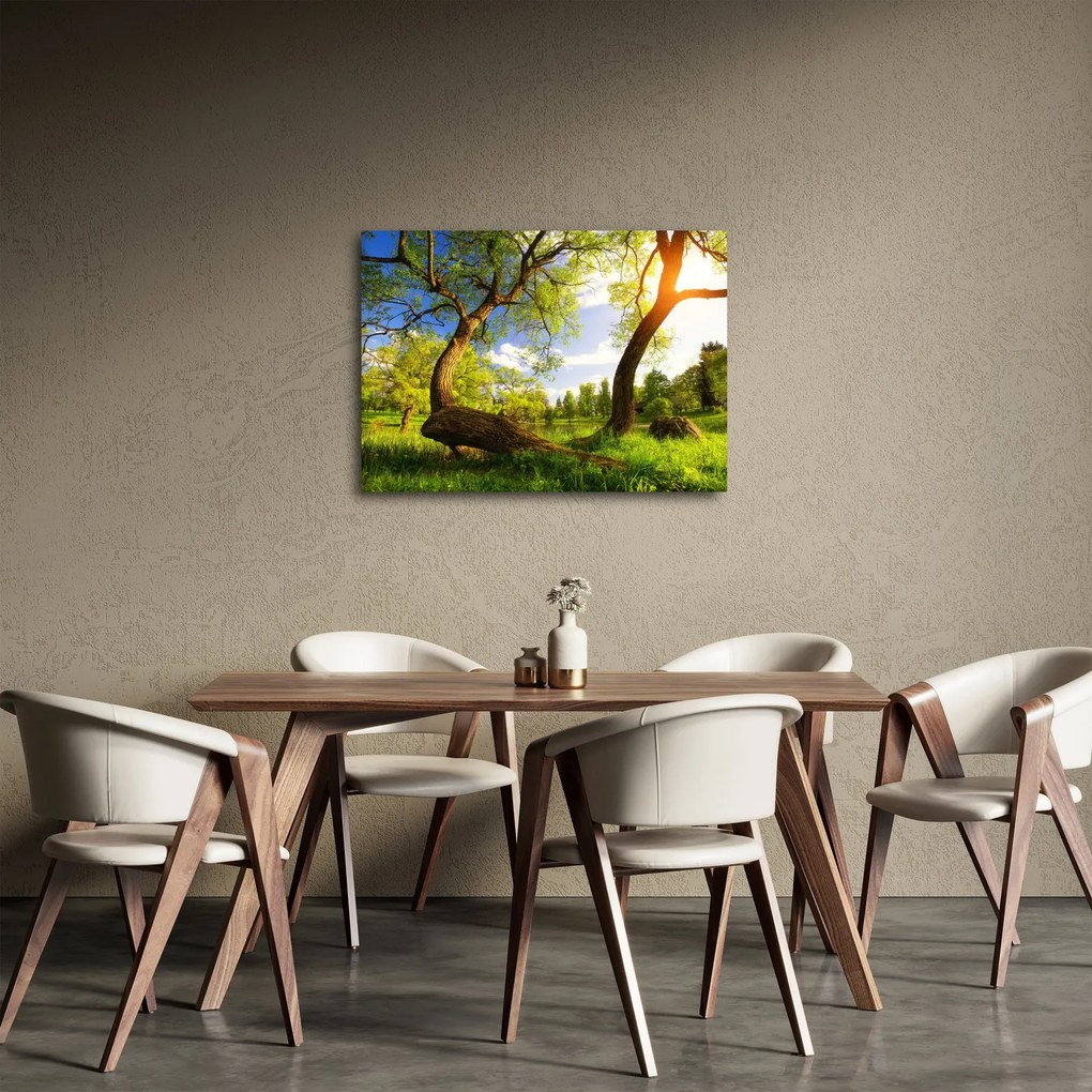 Obraz wiosennej łąki (70x50 cm)