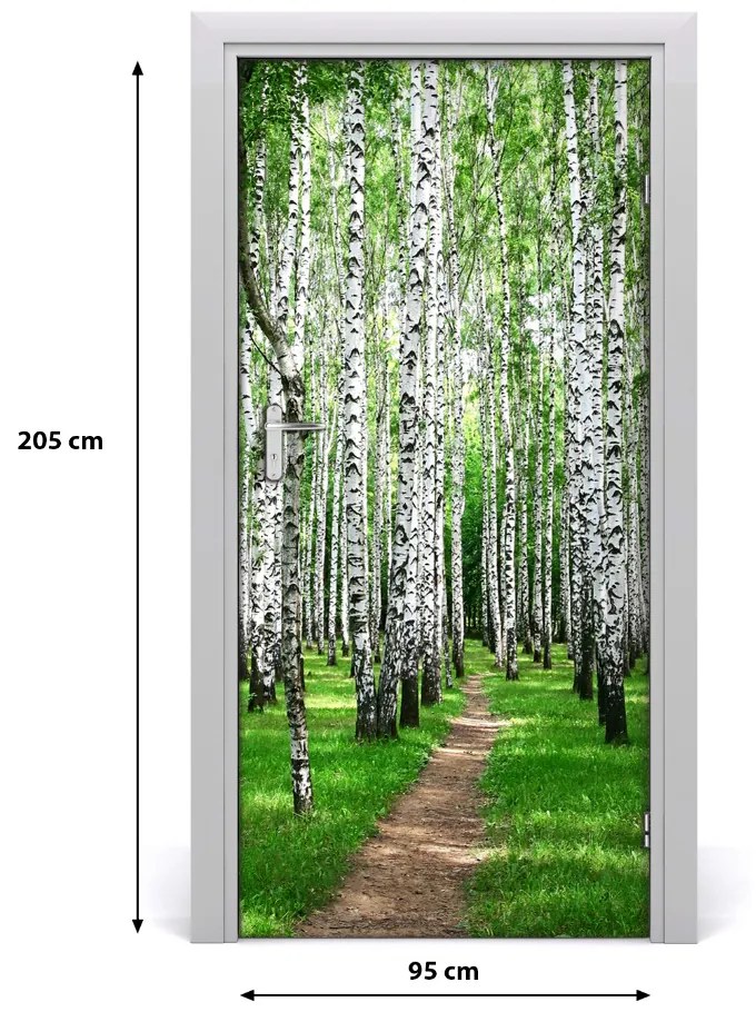 Naklejka fototapeta na drzwi Las brzozowy
