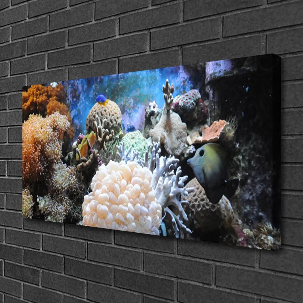 Obraz canvas Bogactwo Oceanicznej Rafy