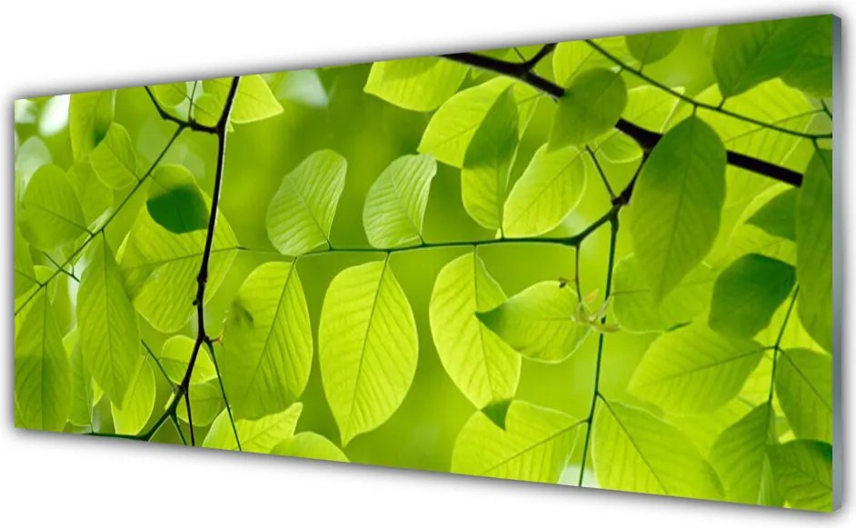 Panel Kuchenny Botaniczny Detal Liści