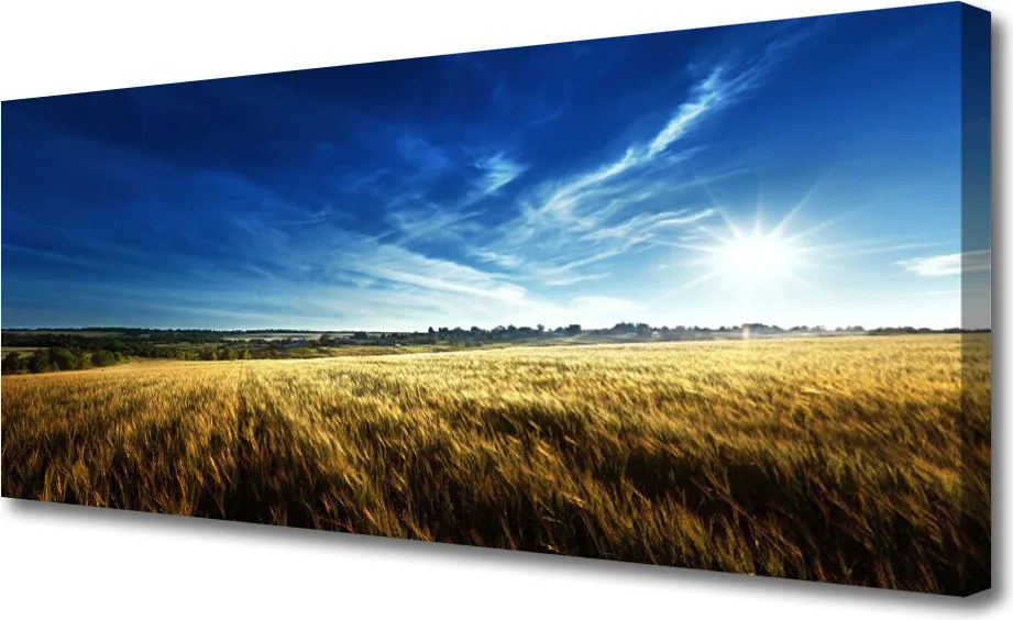 Obraz canvas na ścianę Słoneczne Łany Zboża
