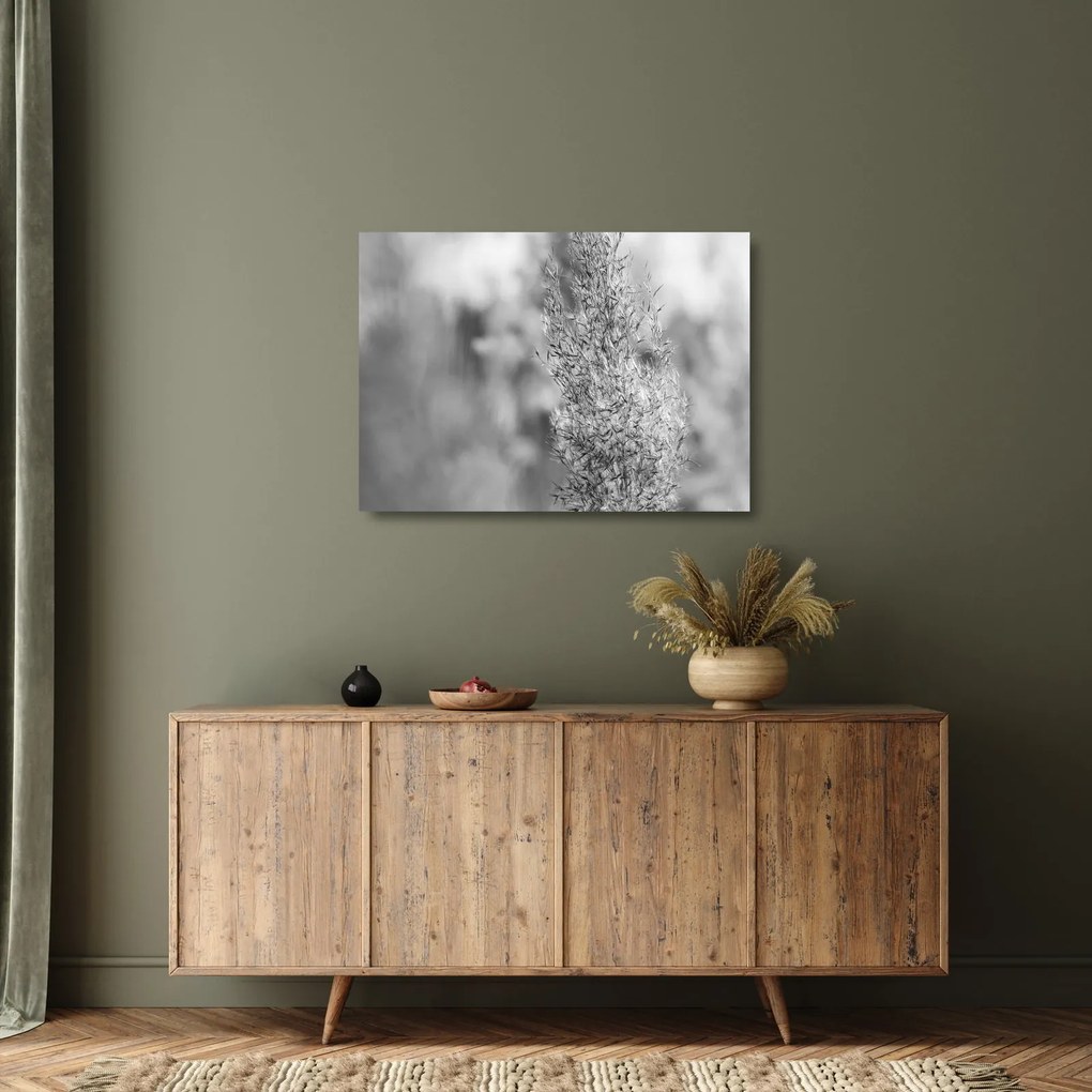 Obraz na szkle - Trawa pampasowa Boho (70x50 cm)