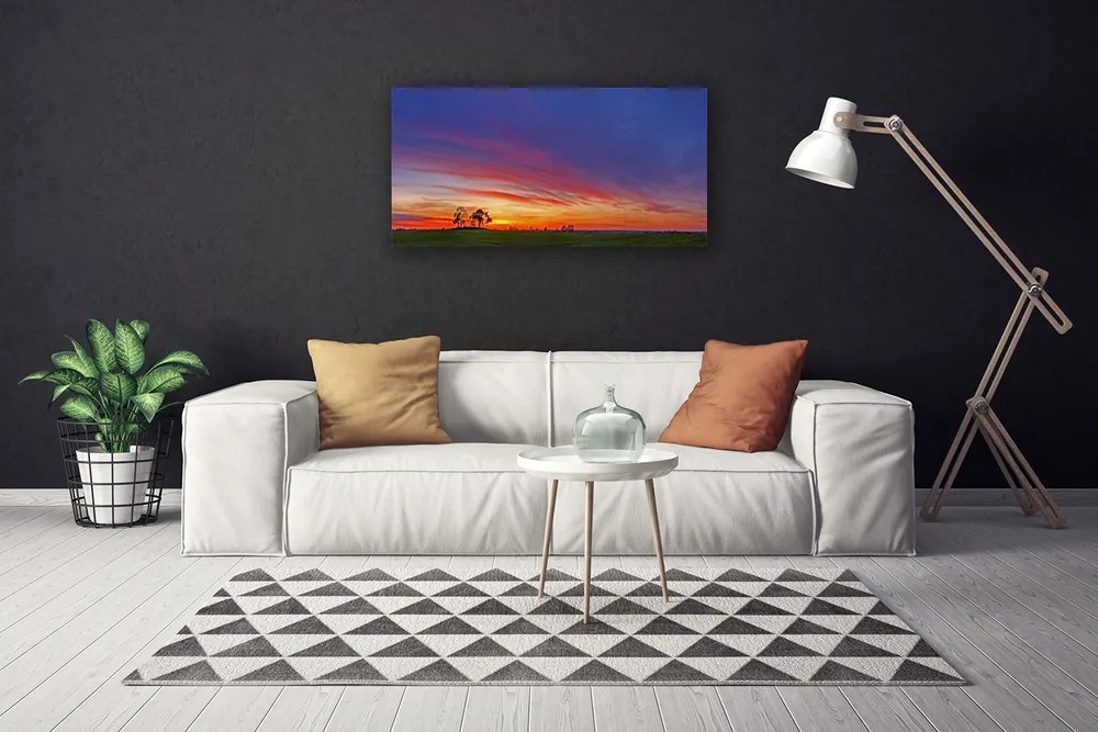 Fotoobraz na płótnie Sielski Krajobraz Polny