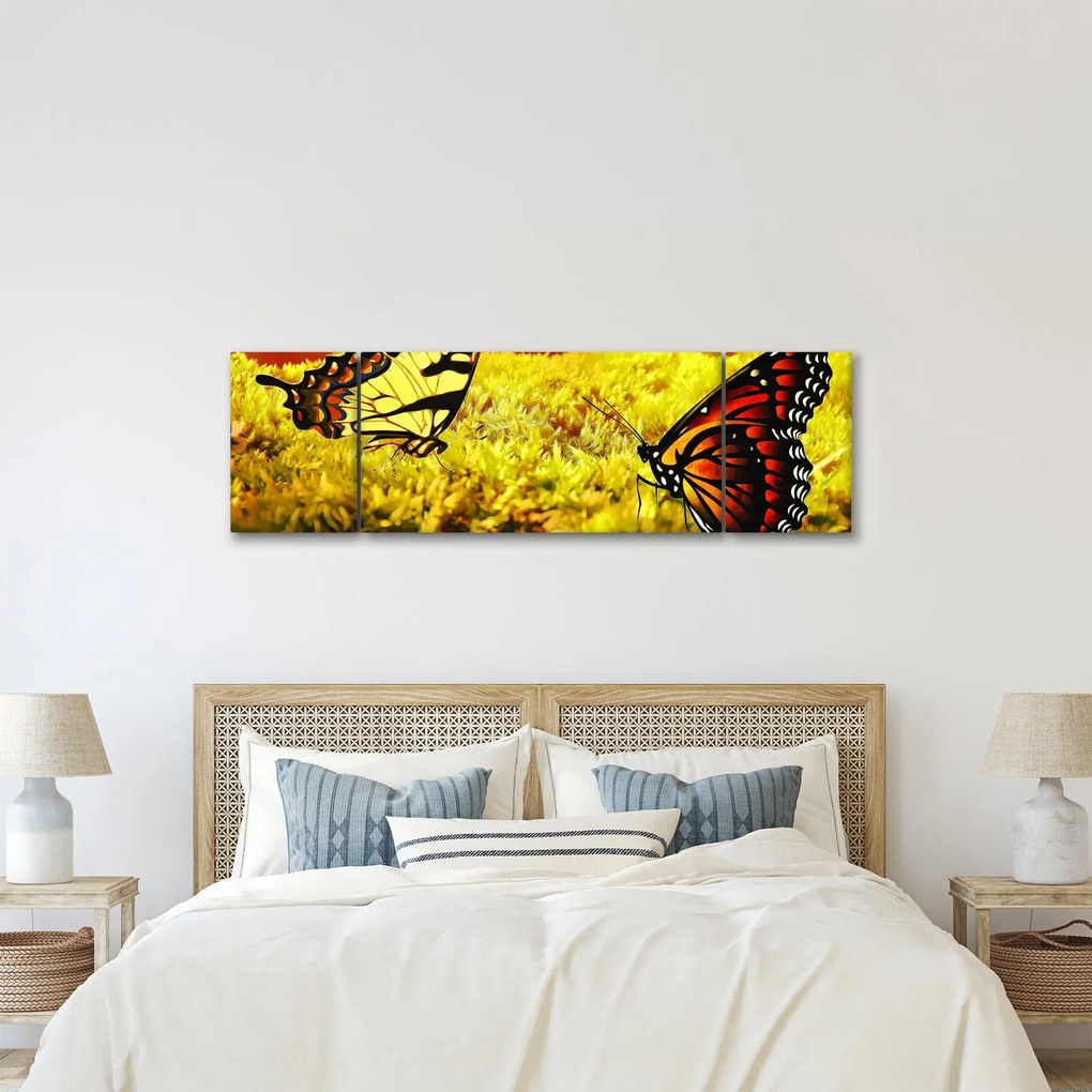 Obraz motyli (170x50 cm)