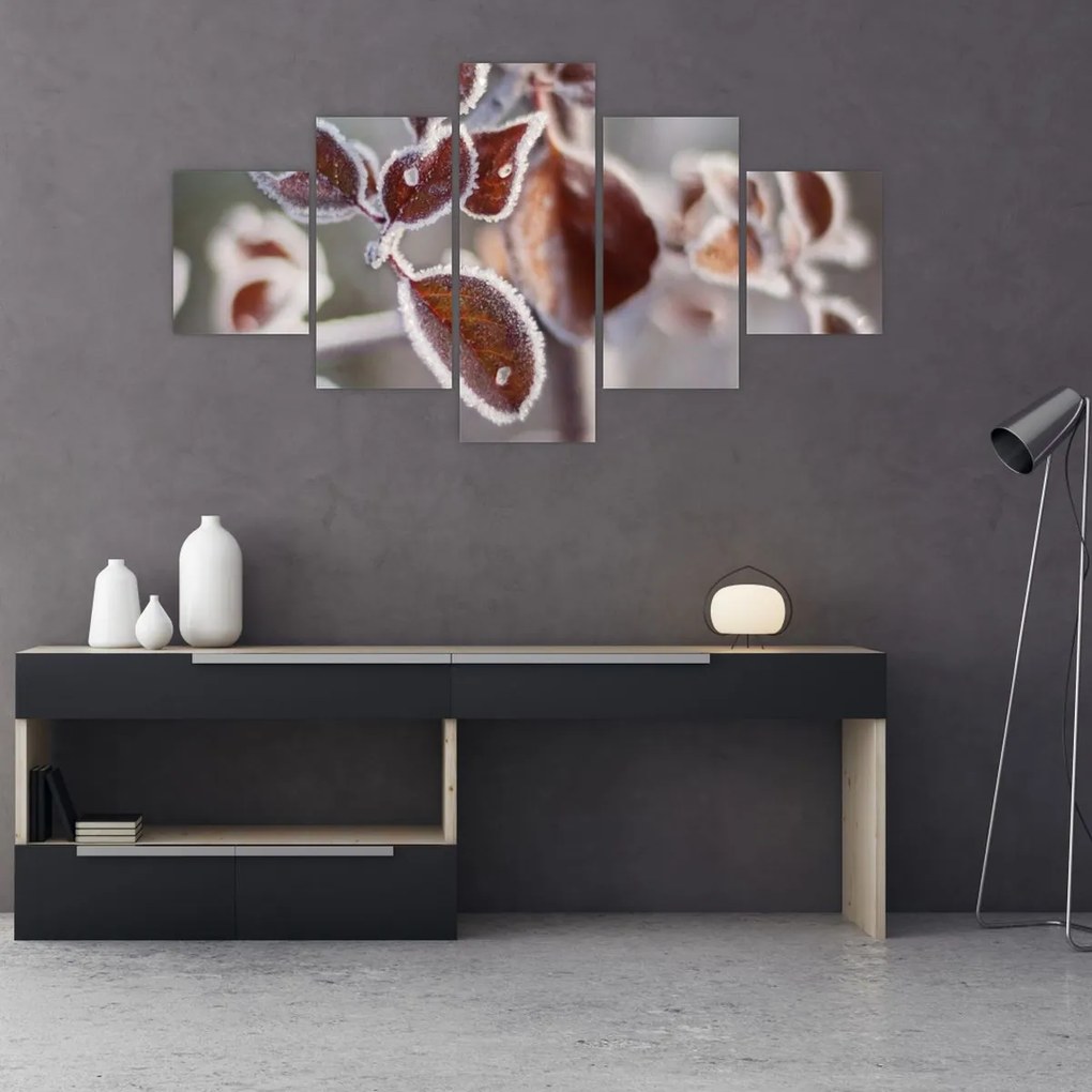 Obraz - Szczegół liści (125x70 cm)