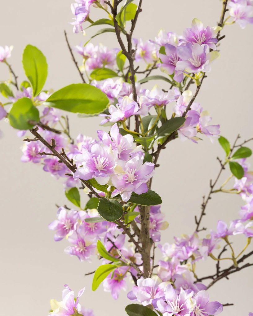 Drzewko Sakura w doniczce 130 cm