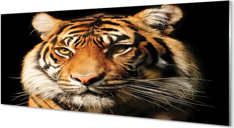 Panel szklany do Kuchni Skradający się Drapieżnik