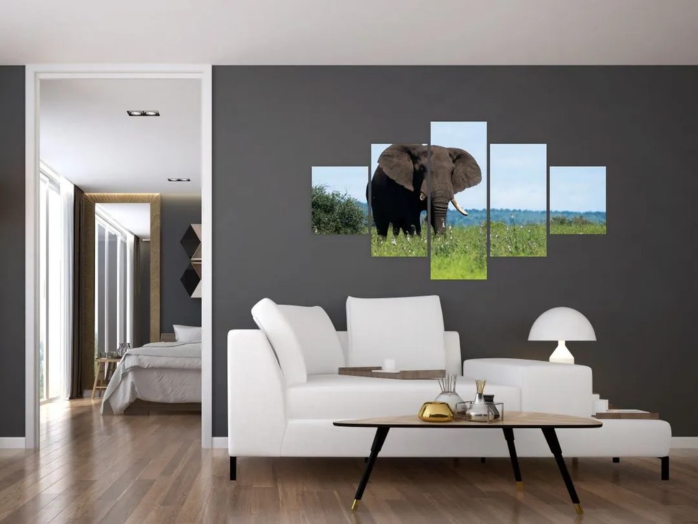 Obraz słonia (125x70 cm)