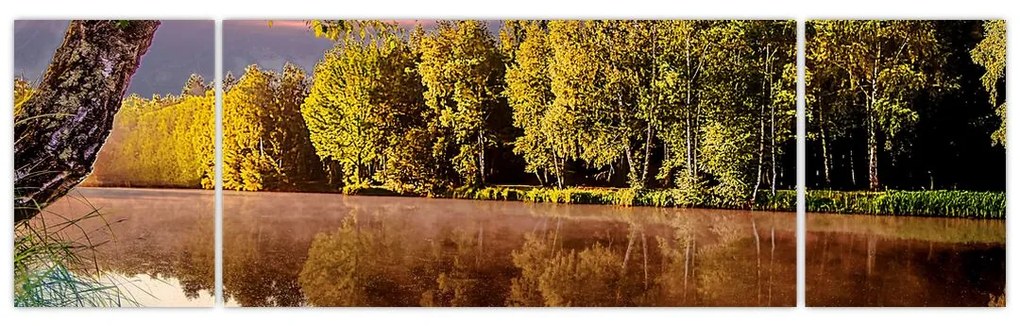 Obraz - Za rzeką (170x50 cm)