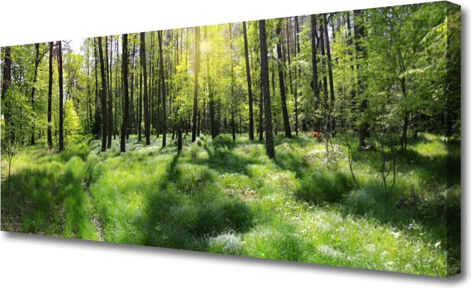 Obraz drukowany na płótnie Leśna Ścieżka wśród Traw