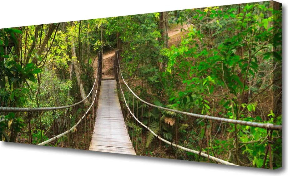 Obraz canvas Most w Sercu Dżungli