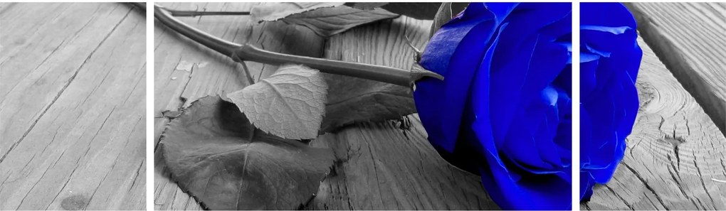 Obraz - Niebieska róża (170x50 cm)