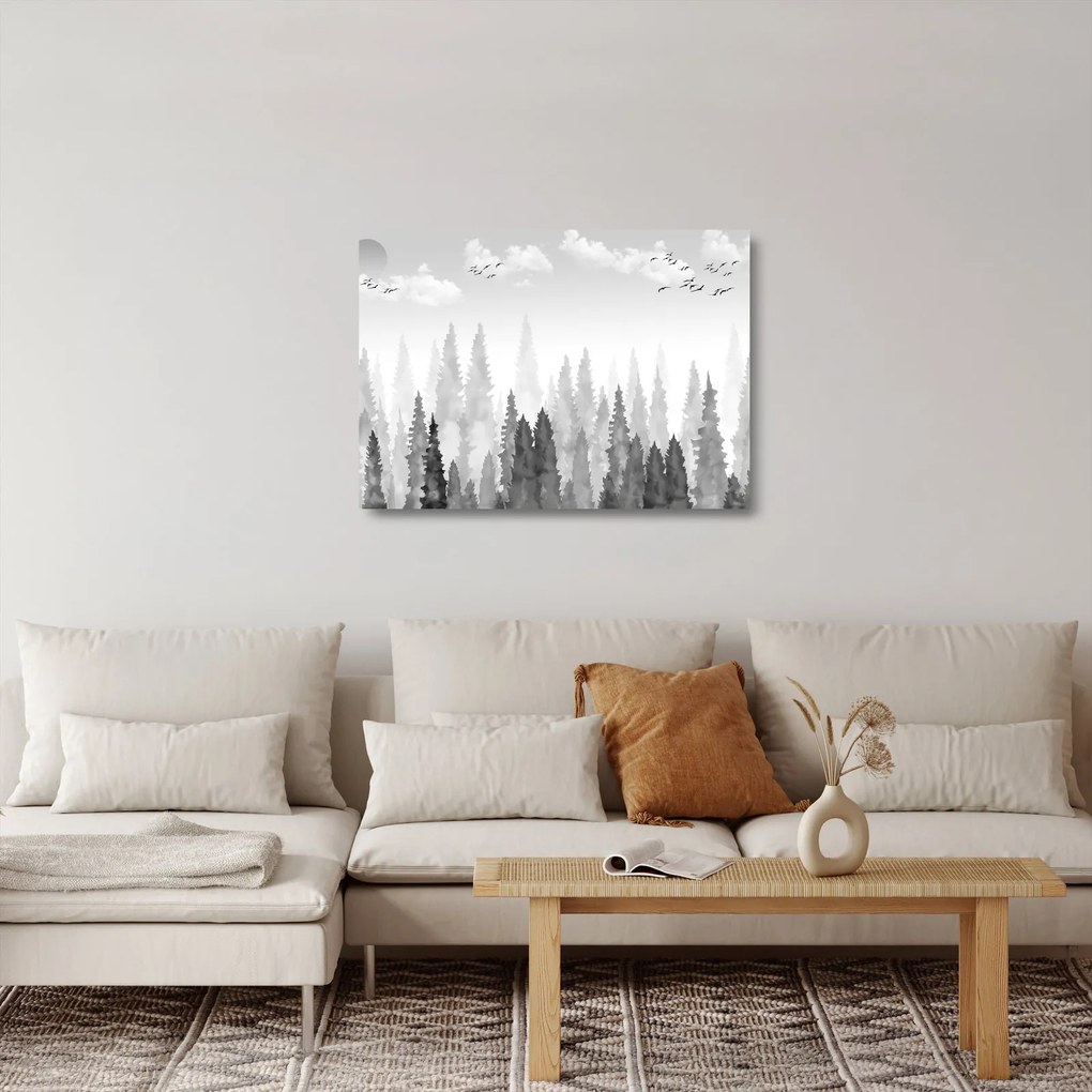 Obraz na szkle - Szczyty lasów (70x50 cm)