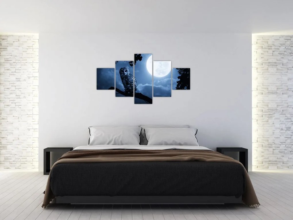Obraz - Nocna Sowa (125x70 cm)