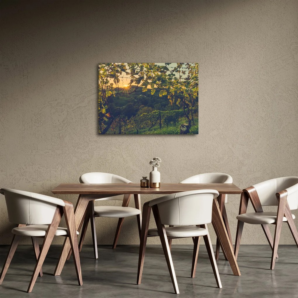 Obraz - Winnica (70x50 cm)