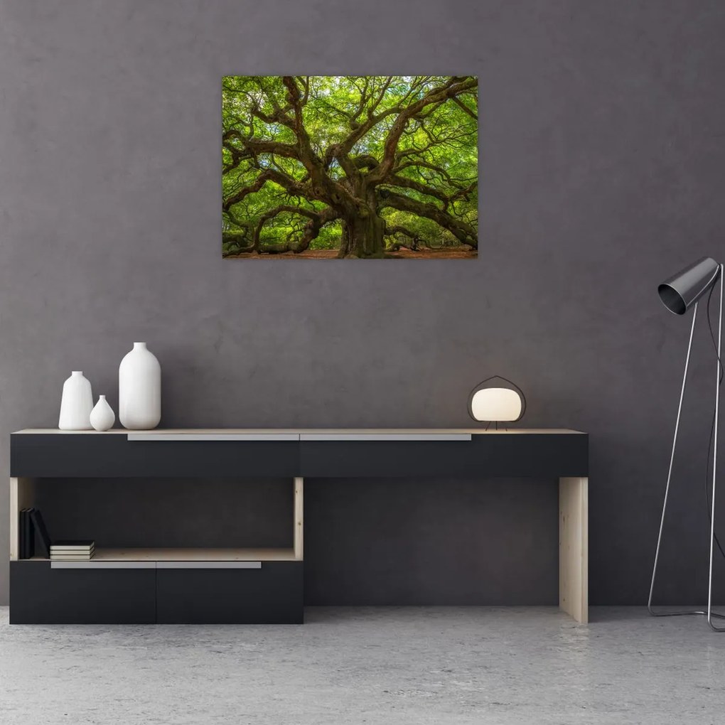 Obraz - Zielone drzewo (70x50 cm)