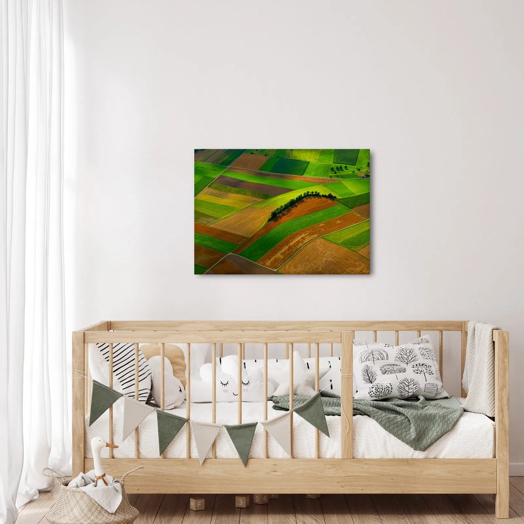 Obraz - Pola, łąki (70x50 cm)