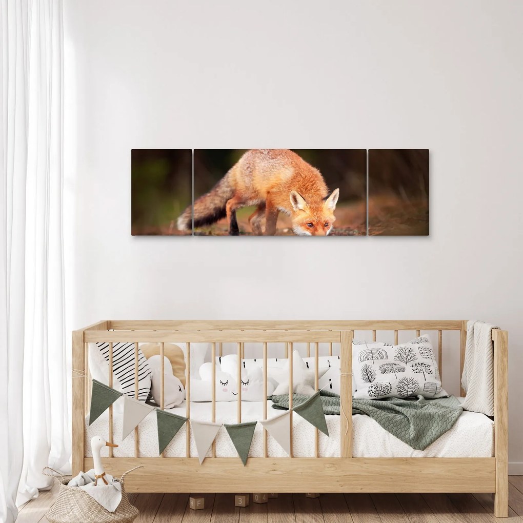 Obraz - Lis w lesie (170x50 cm)