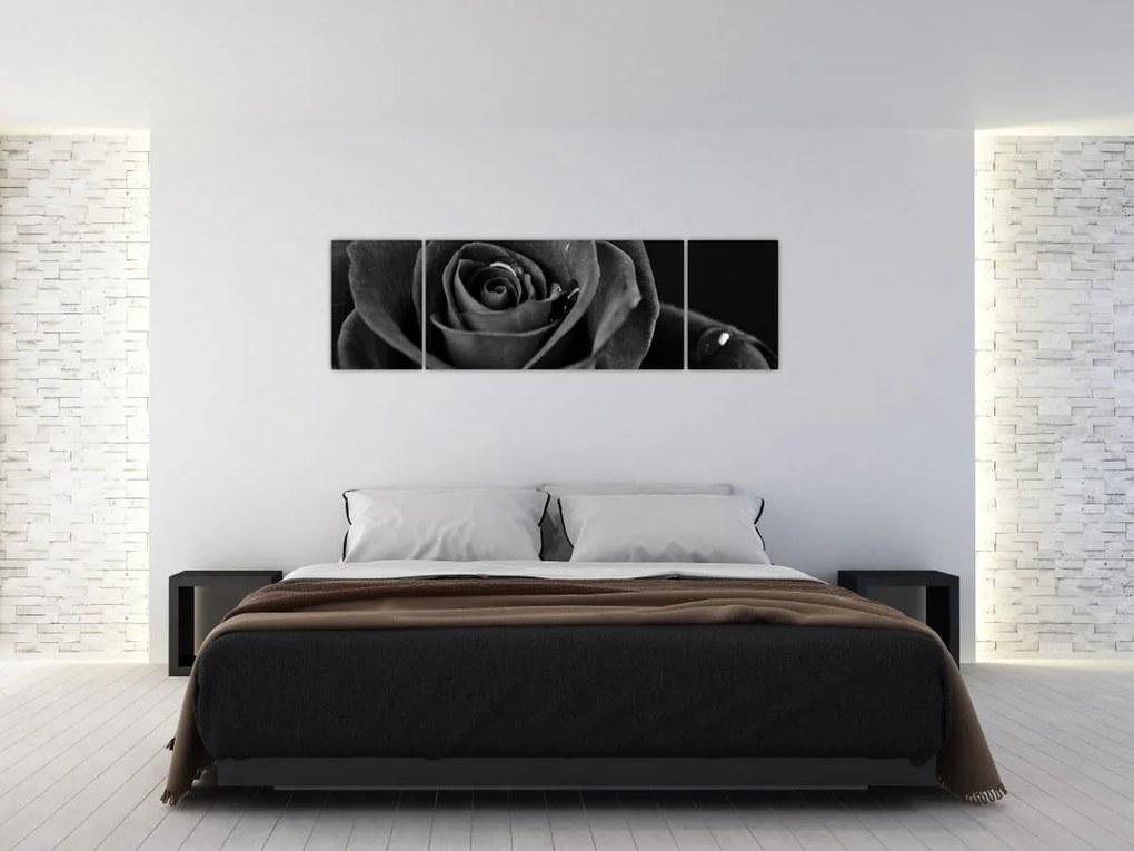 Obraz - Czerwona róża (170x50 cm)