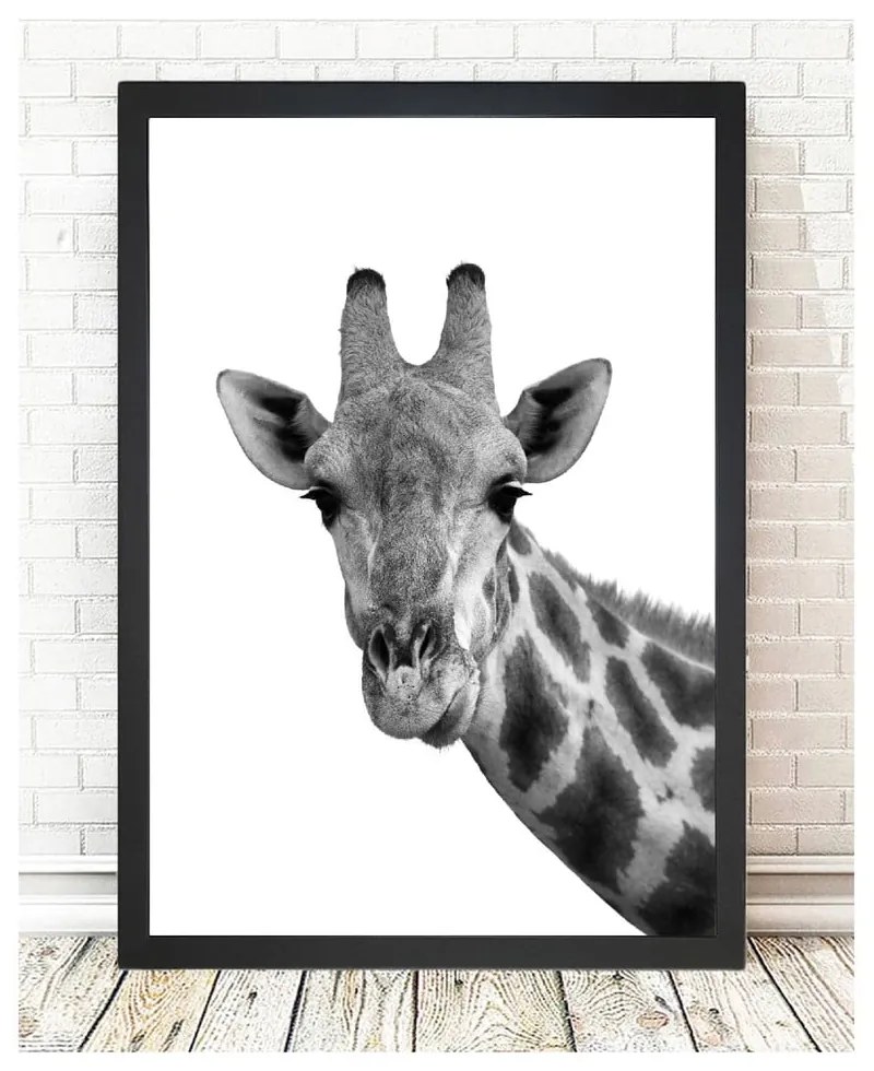 Obraz 24x29 cm Giraffe – Vavien Artwork