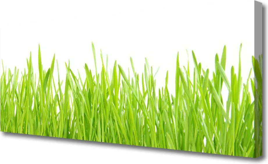 Obraz canvas Świeżość Letniego Trawnika