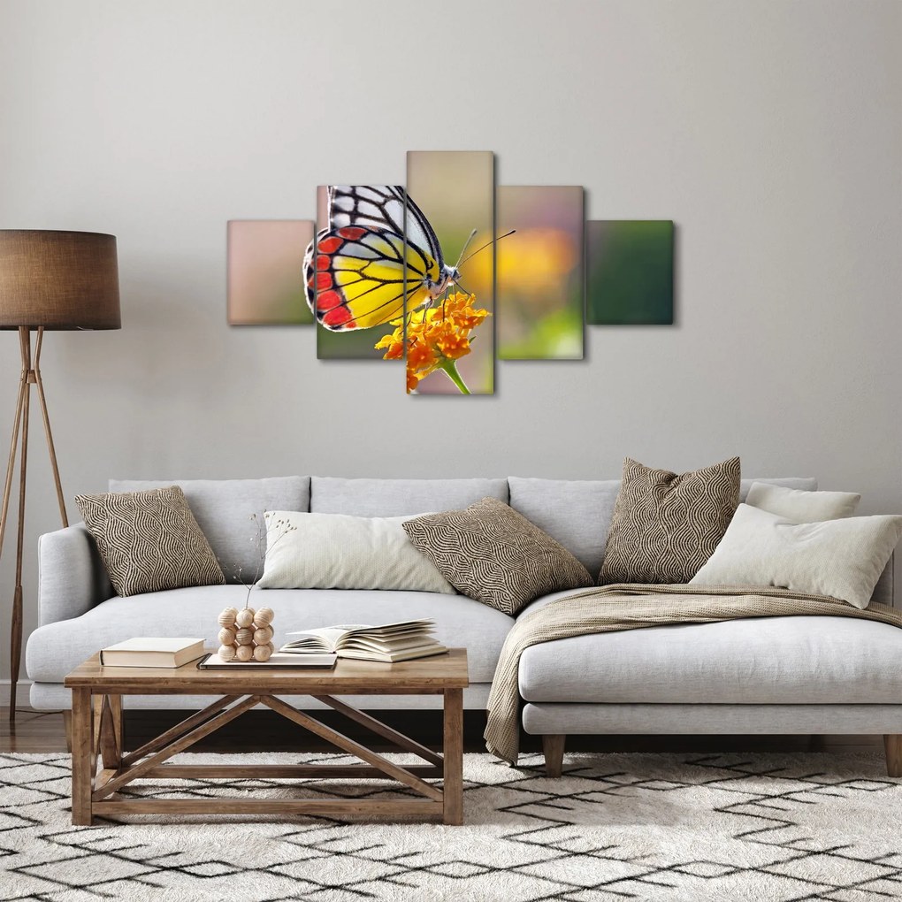 Obraz motyla na kwiatku (125x70 cm)