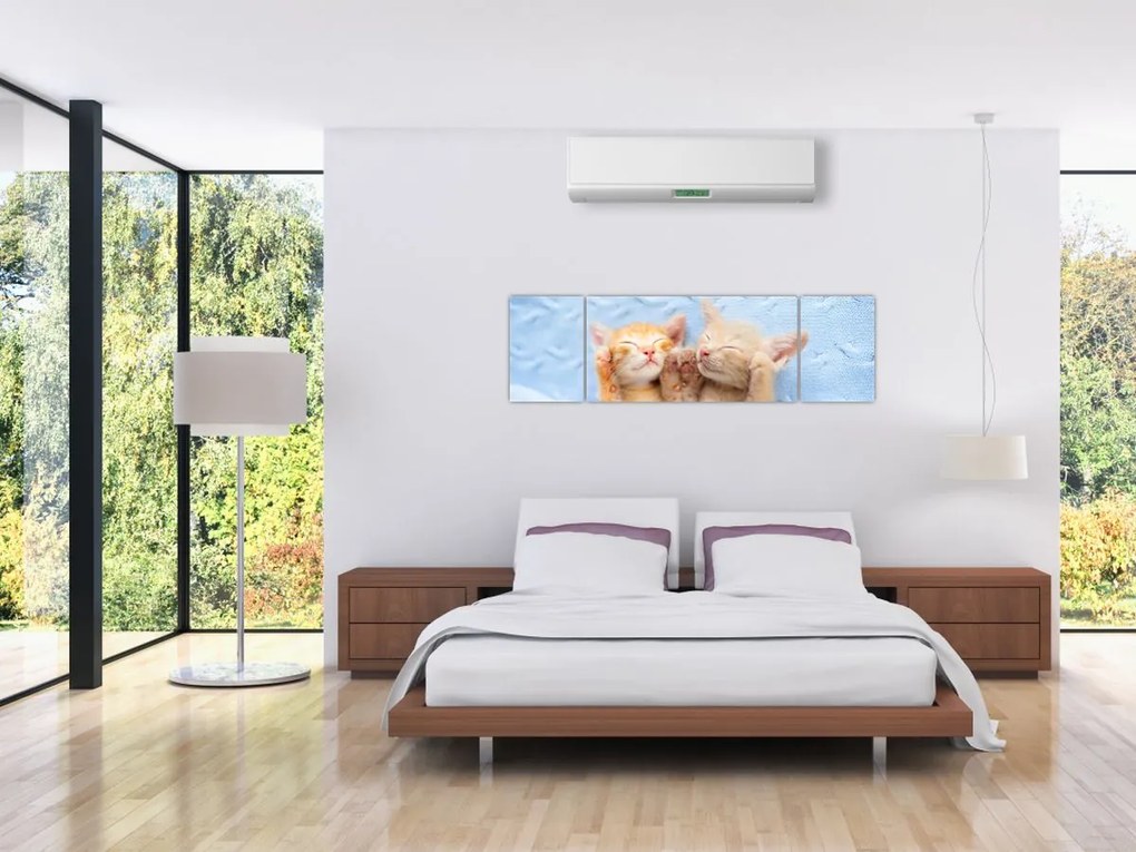 Obraz - Śpiące kocięta (170x50 cm)