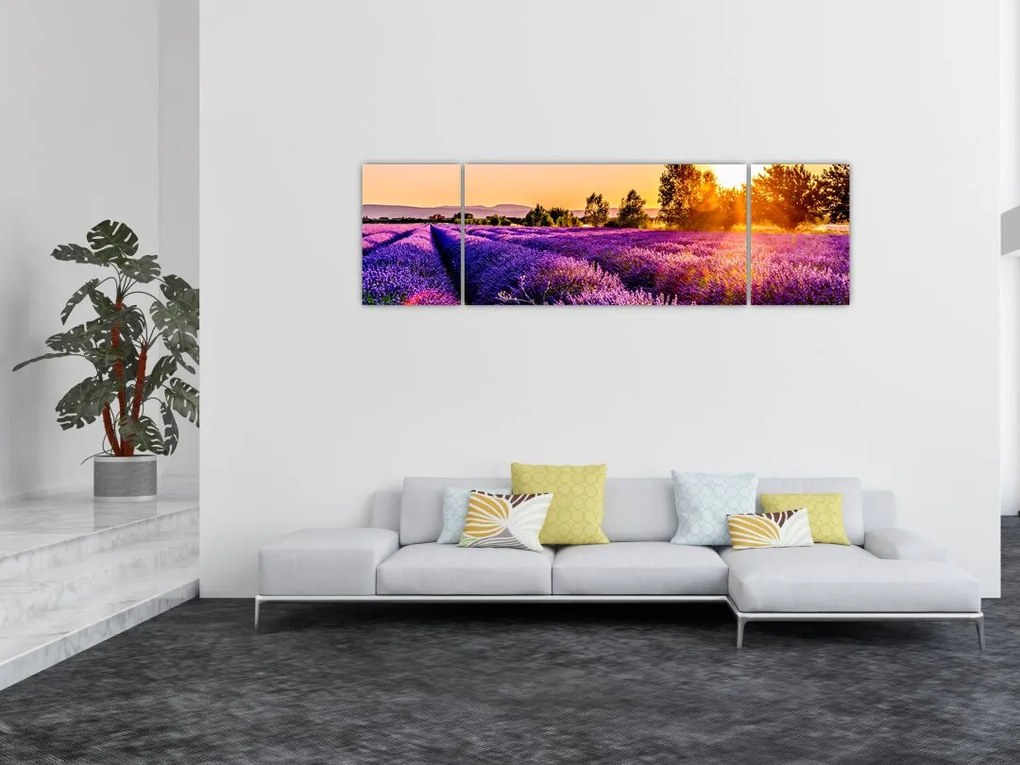 Obraz pola lawendy, Prowansja (170x50 cm)