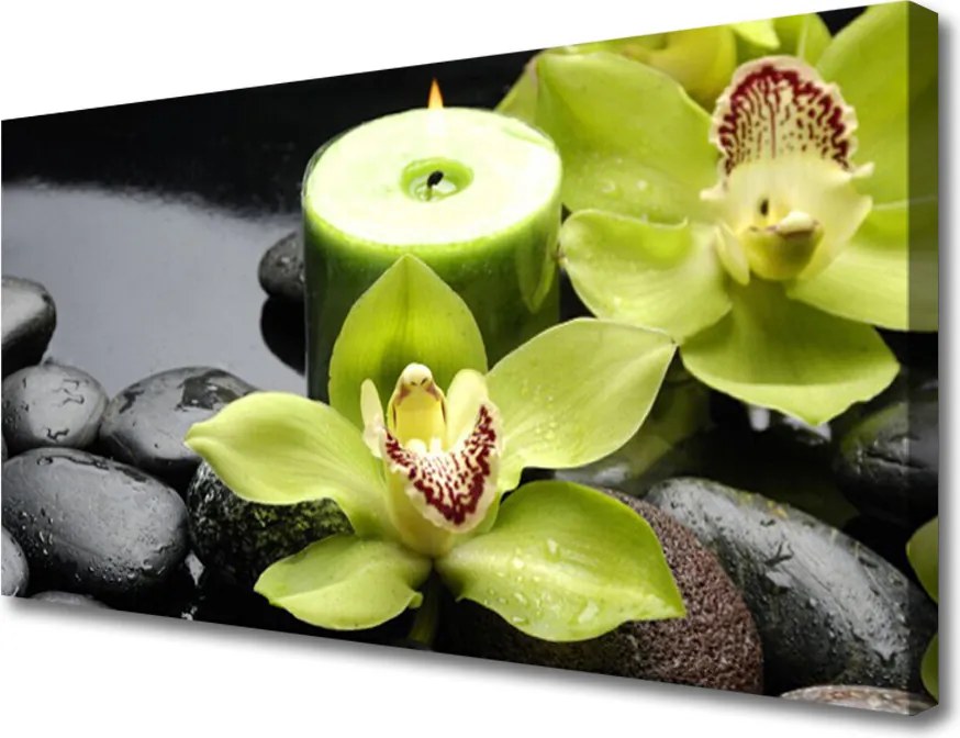 Obraz canvas Elegancja Białej Orchidei