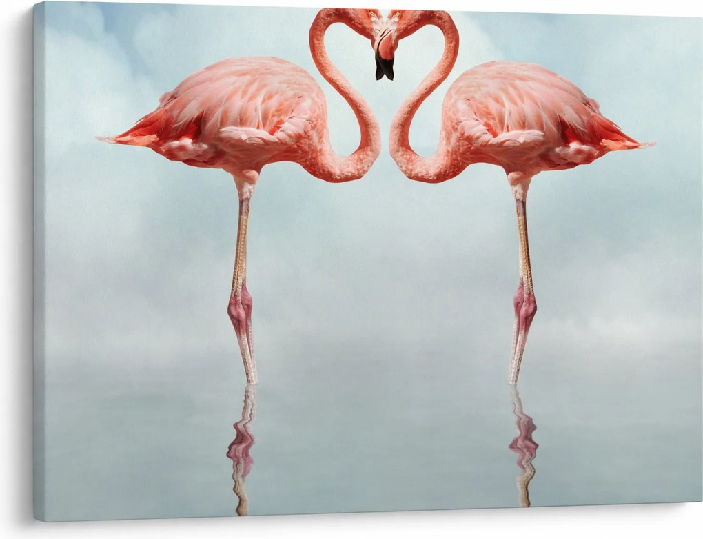 Obraz dwóch flamingów (70x50 cm)