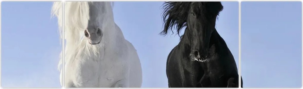Obraz - Konie zimą (170x50 cm)