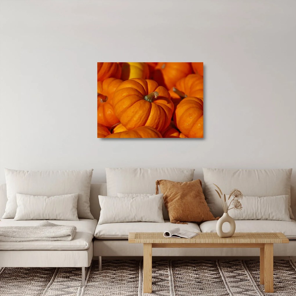 Obraz na szkle - Wspaniałe dynie (70x50 cm)