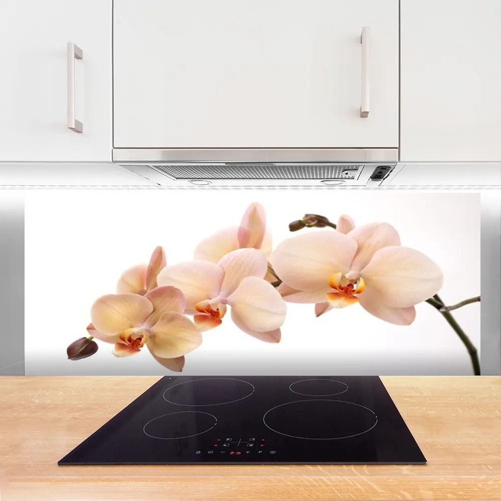 Panel Kuchenny Botaniczna Elegancja Kwiatów