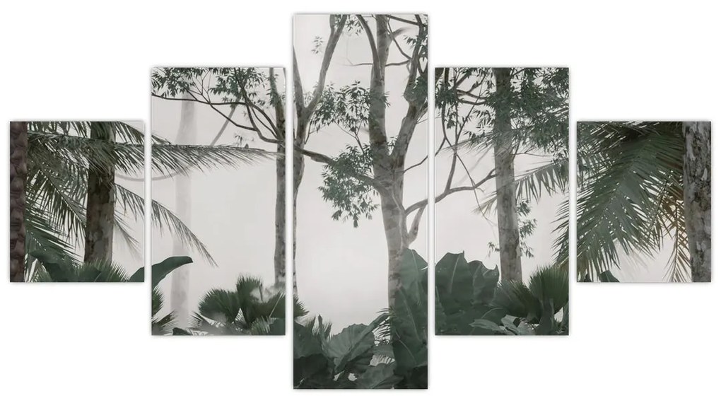 Obraz - dżungla w porannej mgle (125x70 cm)