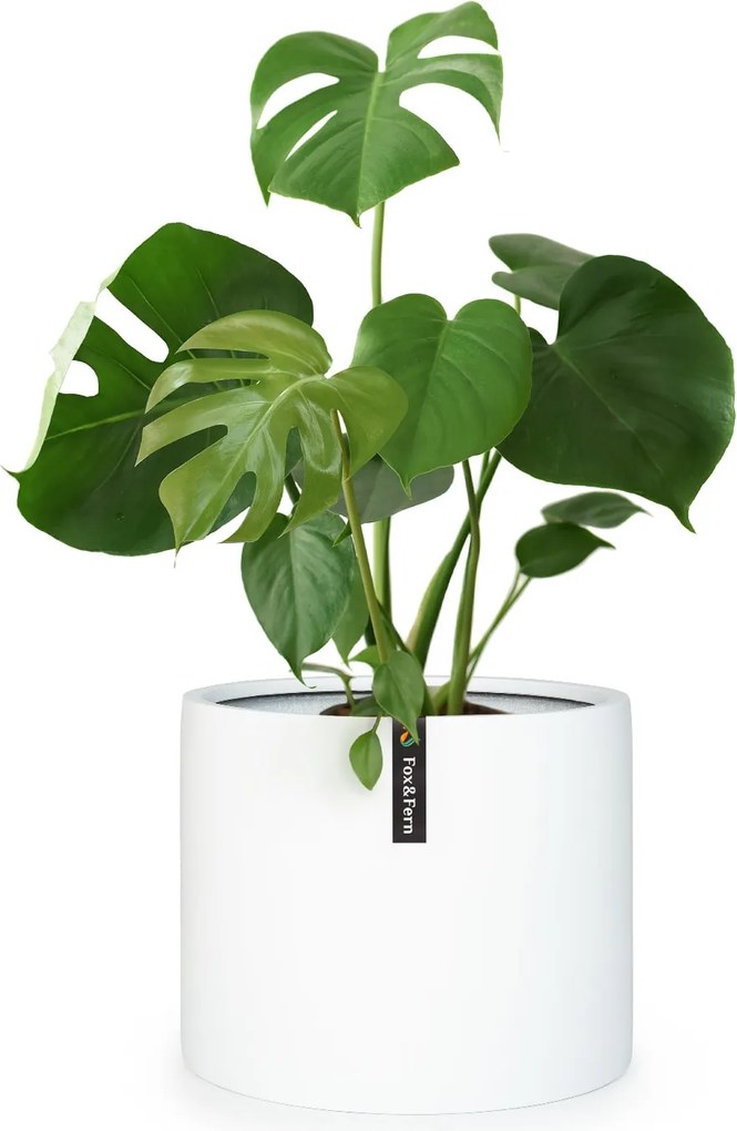 Fox & Fern Enspijk Doniczka